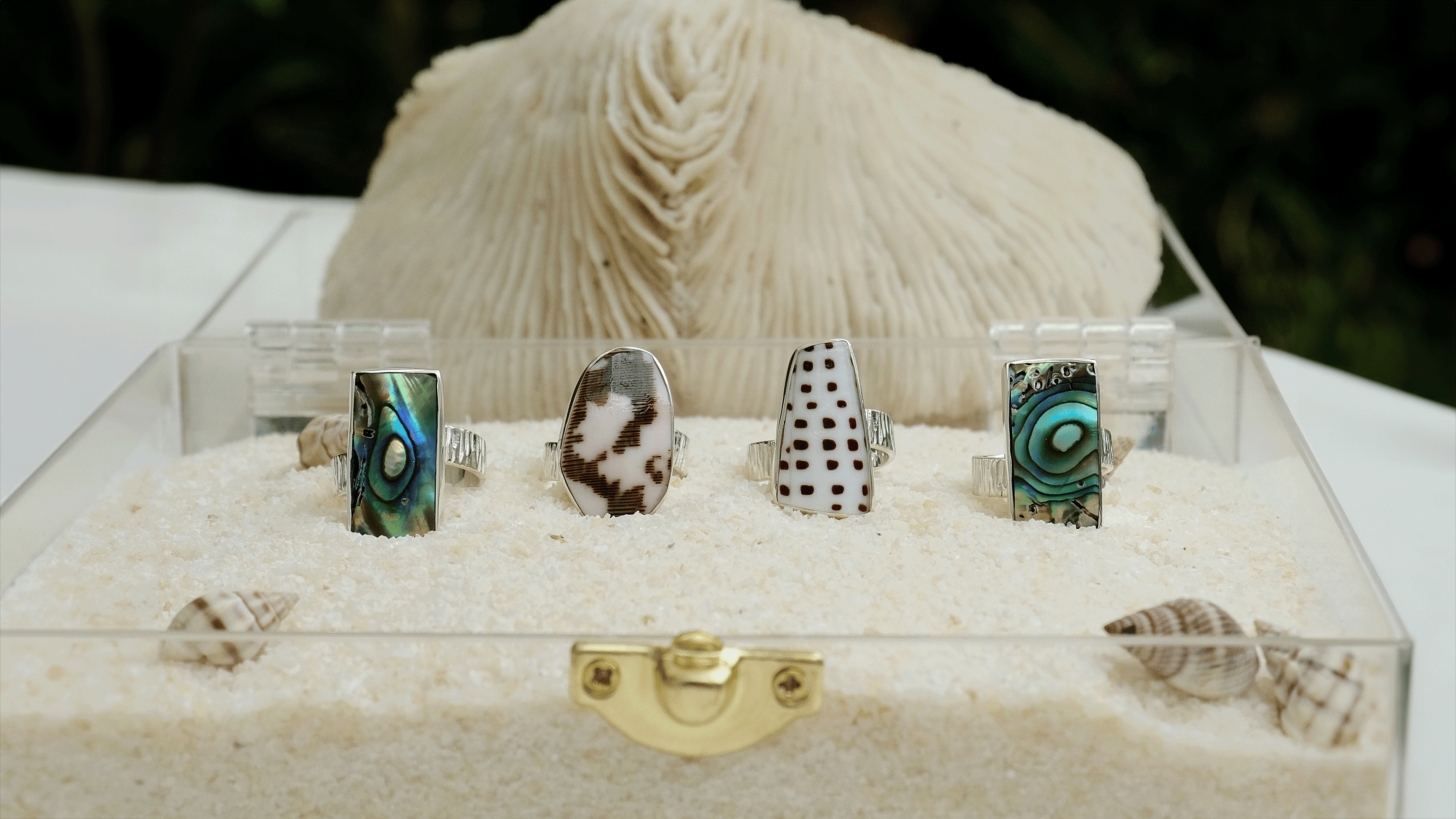 Collection of 925 silver shell rings featuring natural abalone, cowrie, and spotted shell designs, displayed in a coastal-inspired jewelry box. Perfect for ocean-inspired and bohemian jewelry lovers.