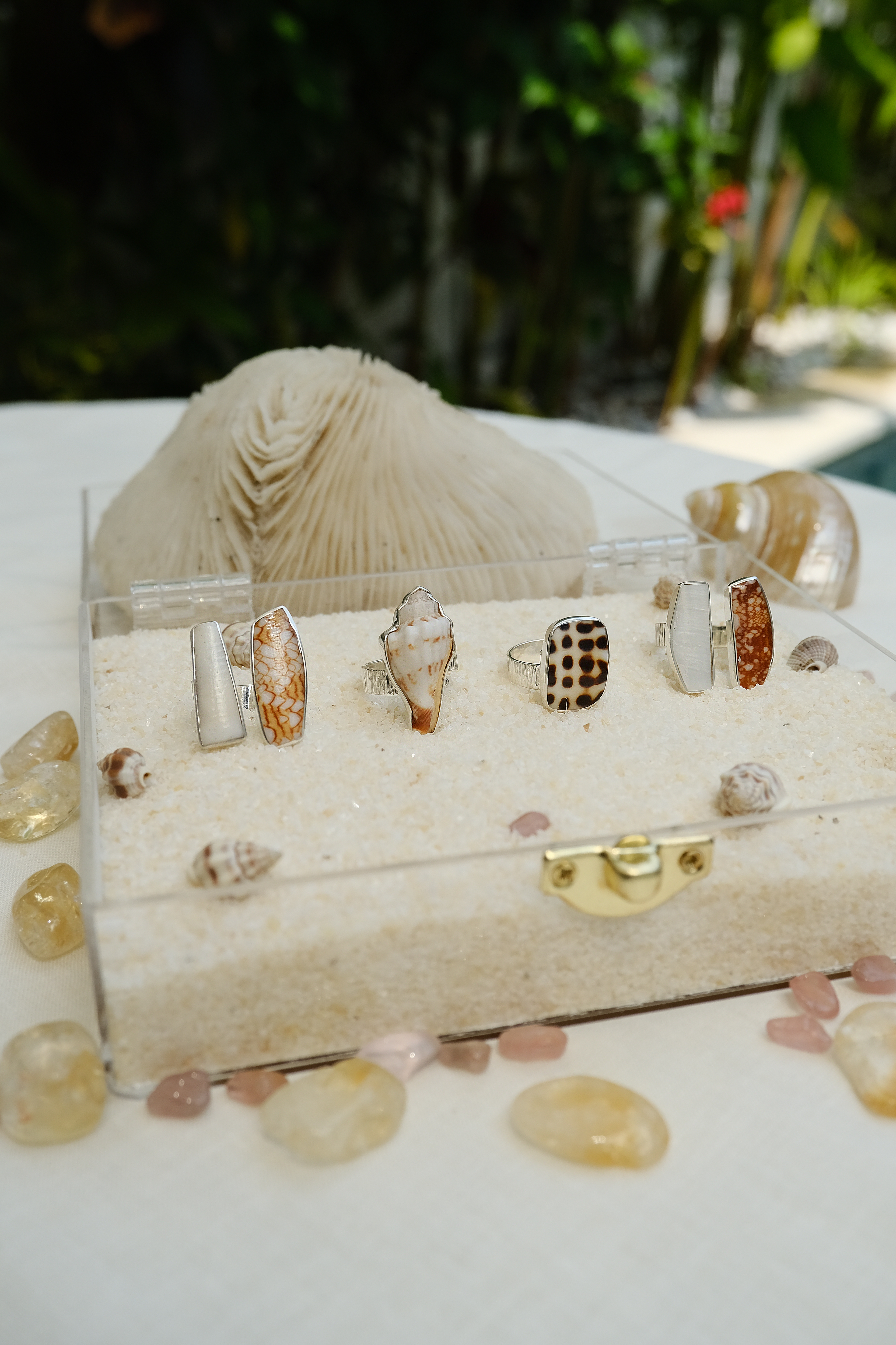 Collection of 925 silver rings featuring natural shell patterns, displayed on sand for a coastal-inspired look. Perfect for beach jewelry enthusiasts and ocean-inspired fashion