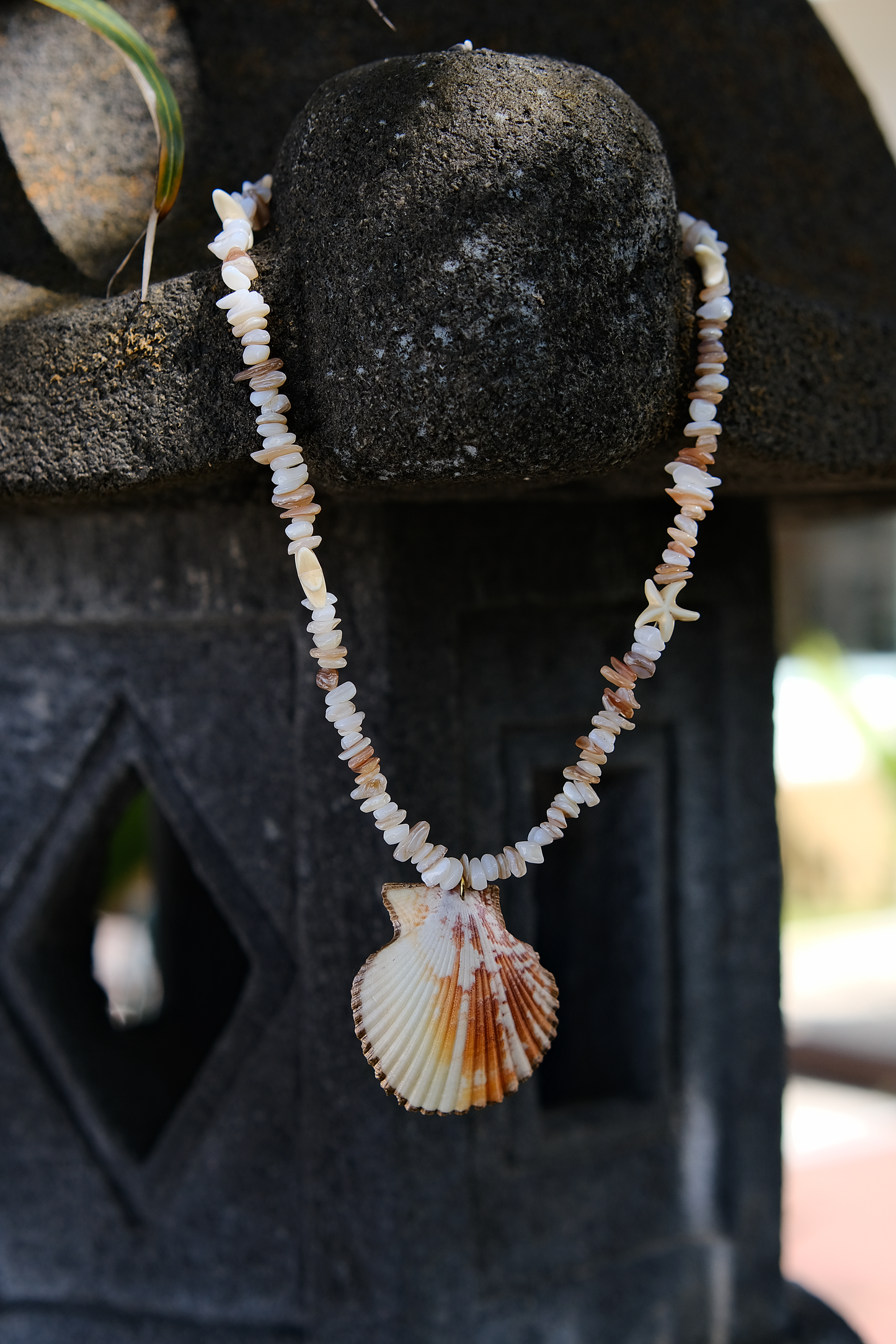 Ocean Star Scallop Necklace