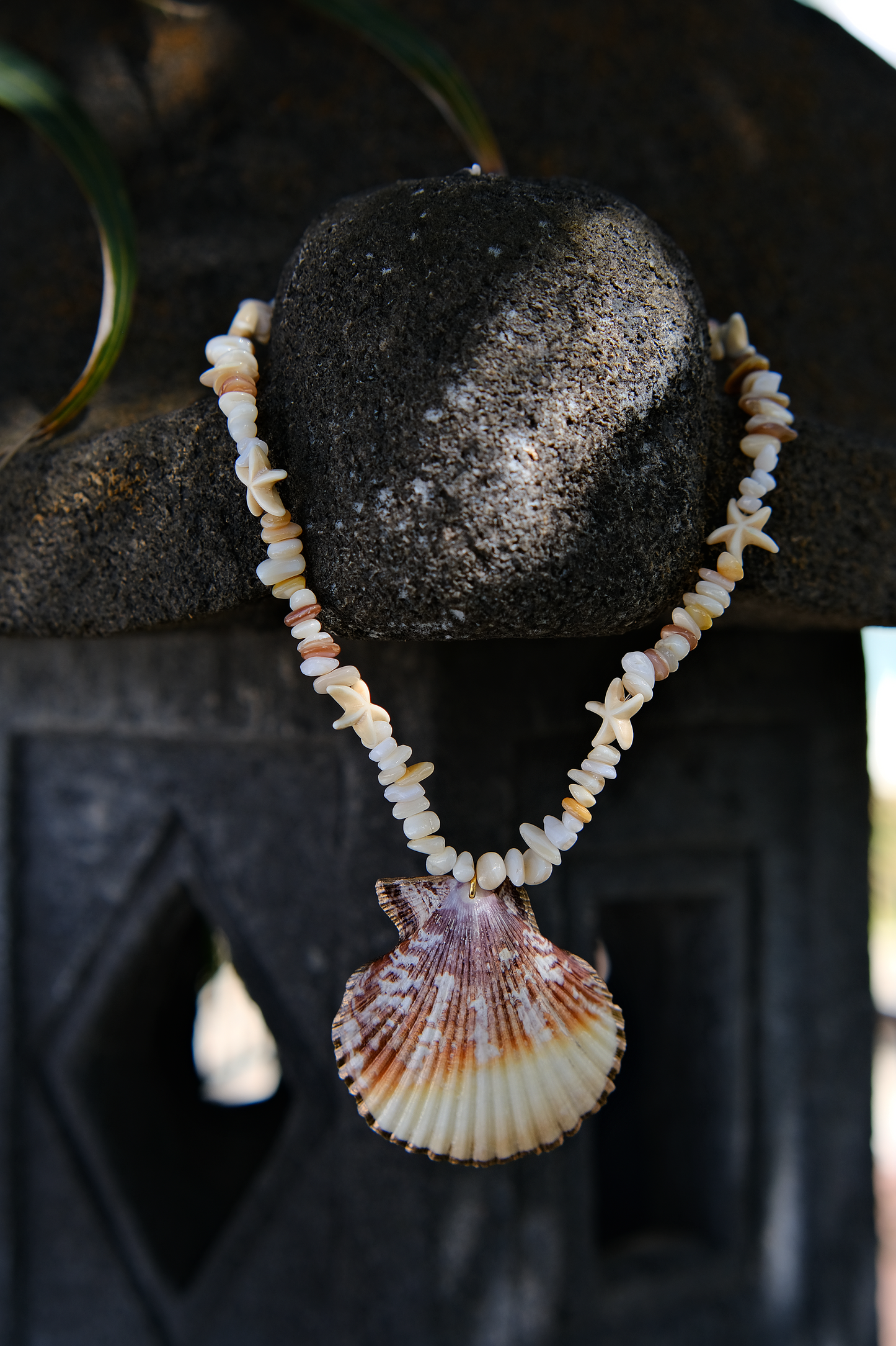 Ocean Star Scallop Necklace