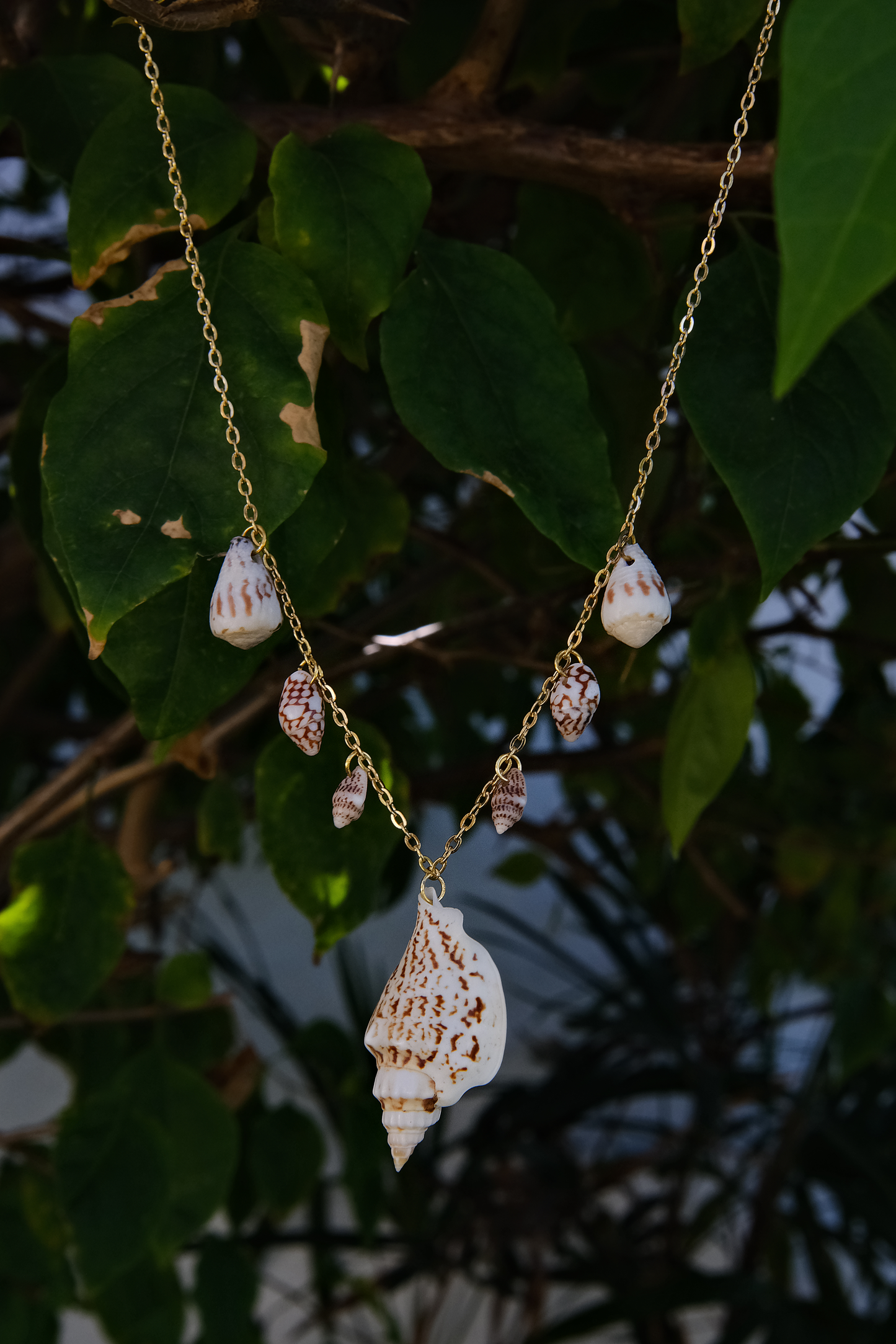 Cascade Conch Necklace