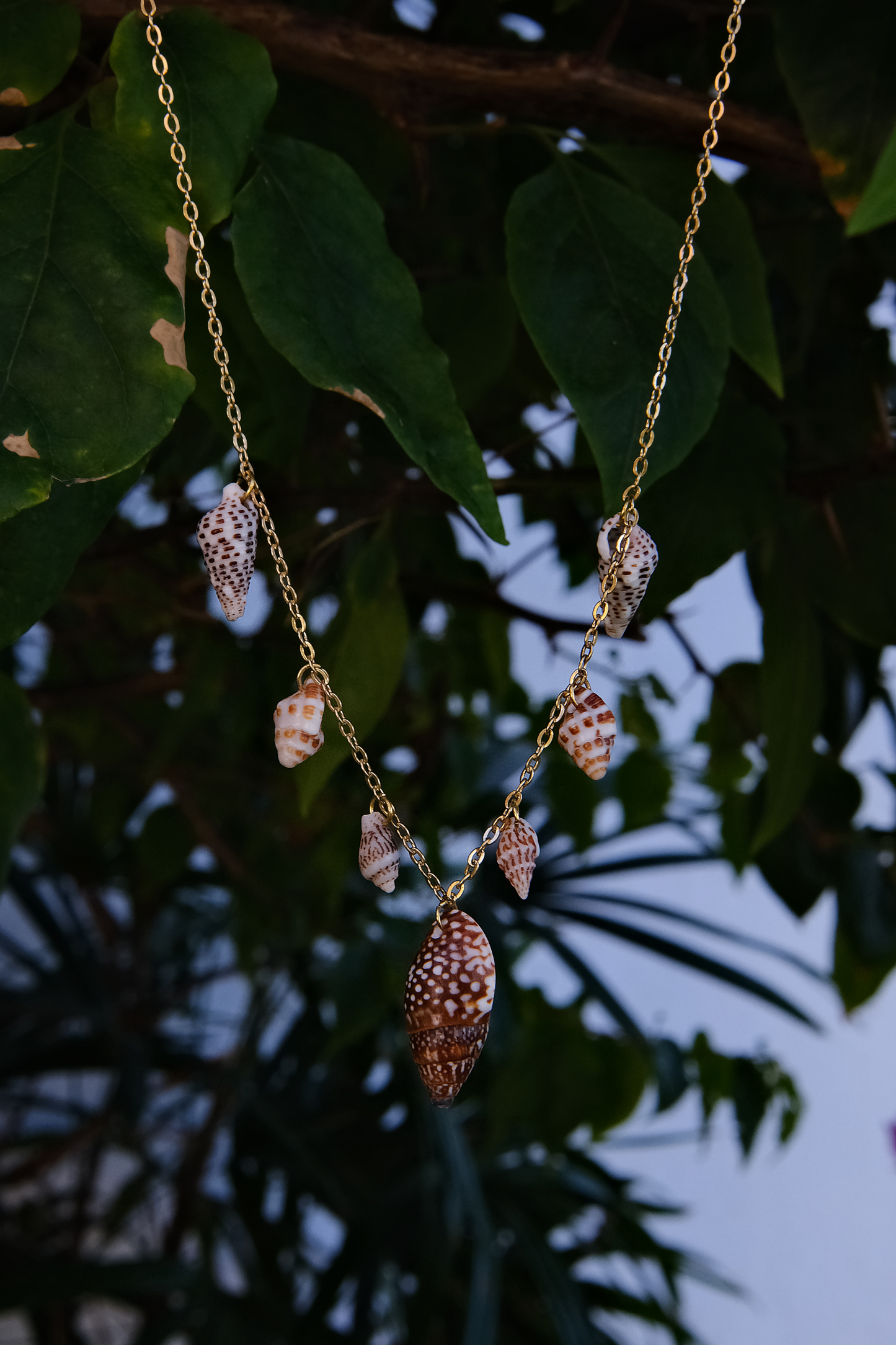 Charm Spotted Conch Necklace