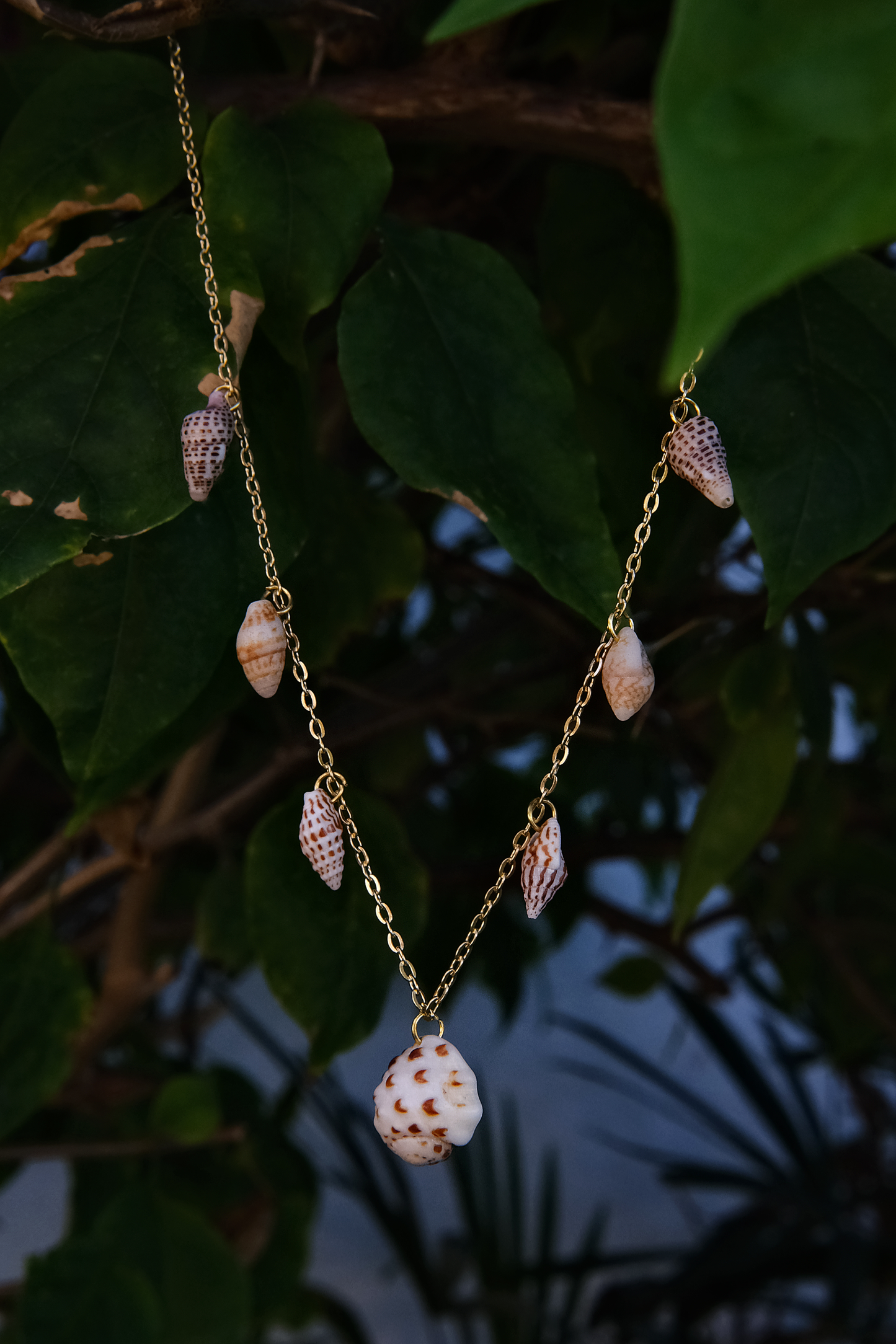 Beach Bliss Conch Necklace