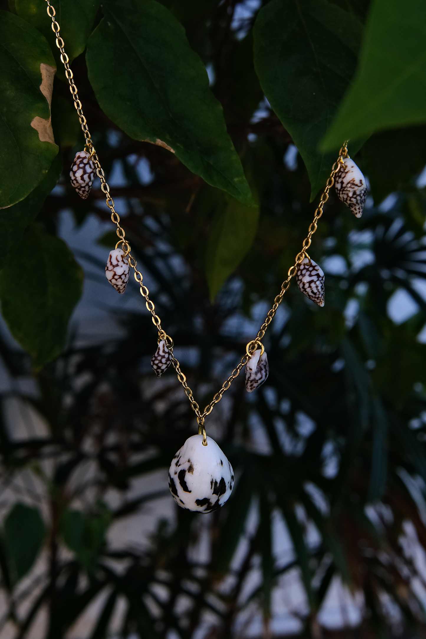 Nerite Shell Necklace