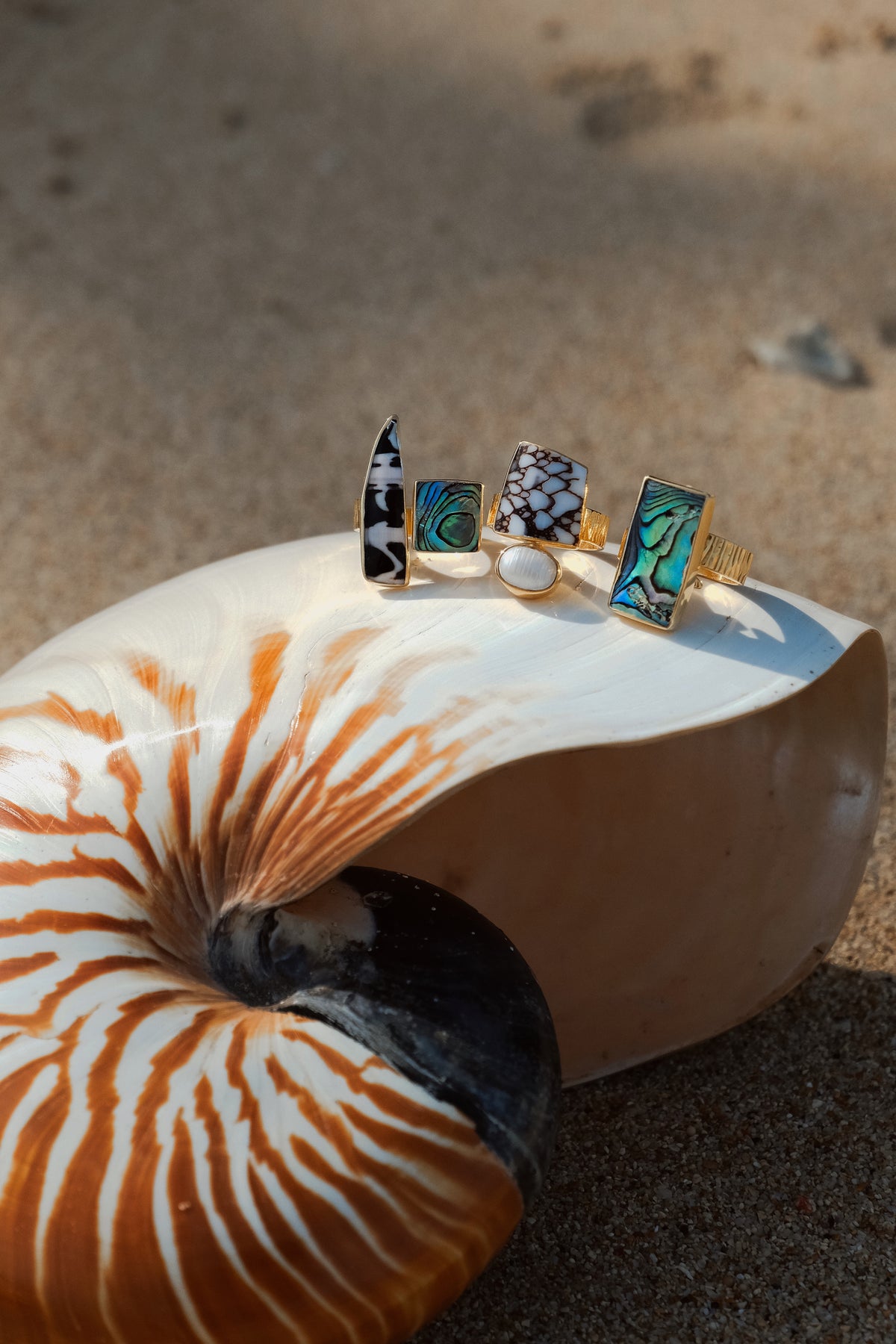 Gold plated adjustable shell rings with natural abalone and cowrie shell inlays, displayed on a nautilus shell against a sandy beach background. Ocean-inspired jewelry crafted in 925 sterling silver, ideal for coastal and bohemian styles