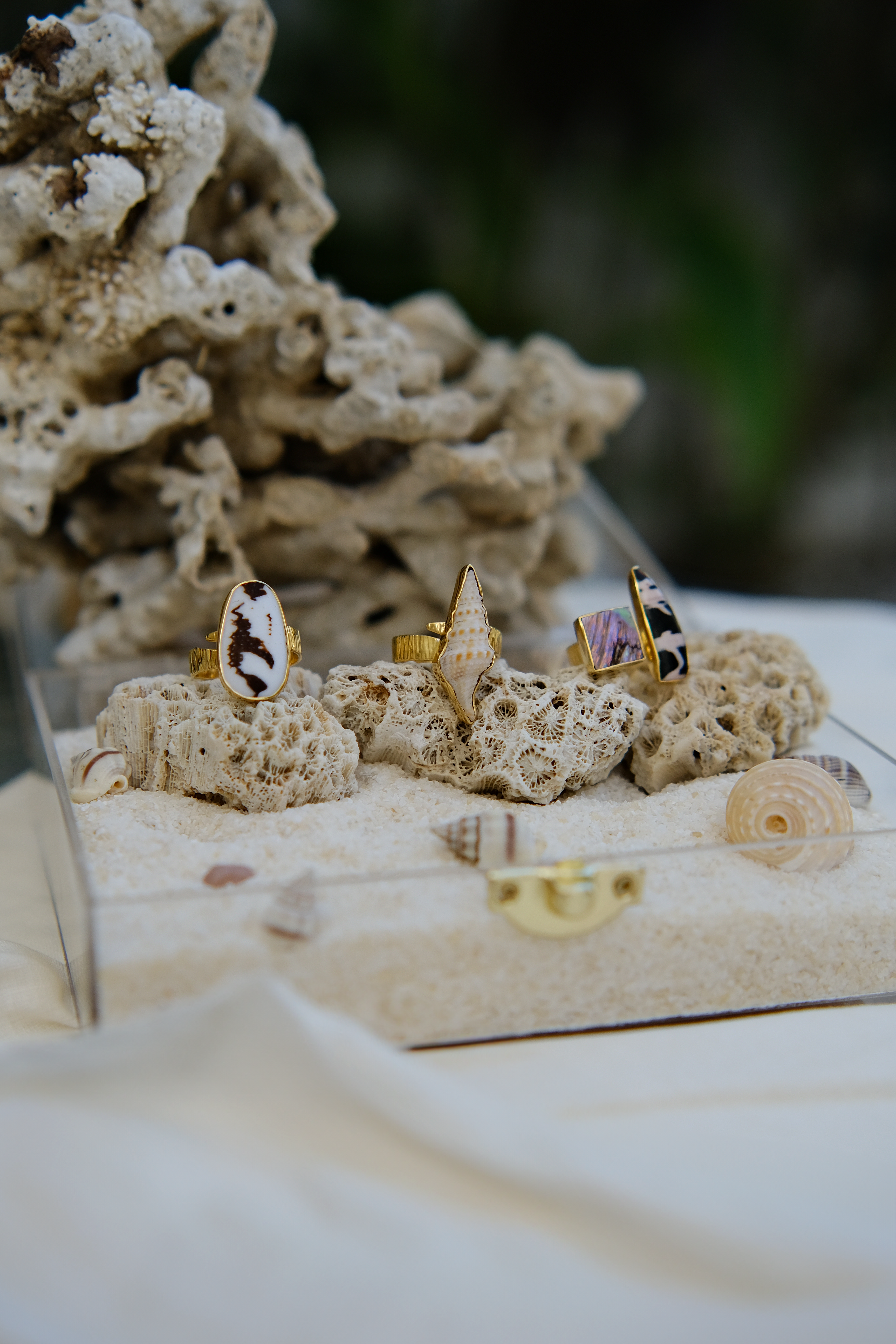 Gold shell rings with natural shell patterns displayed on coral, showcasing coastal-inspired jewelry. Perfect for ocean lovers and bohemian beachwear fashion