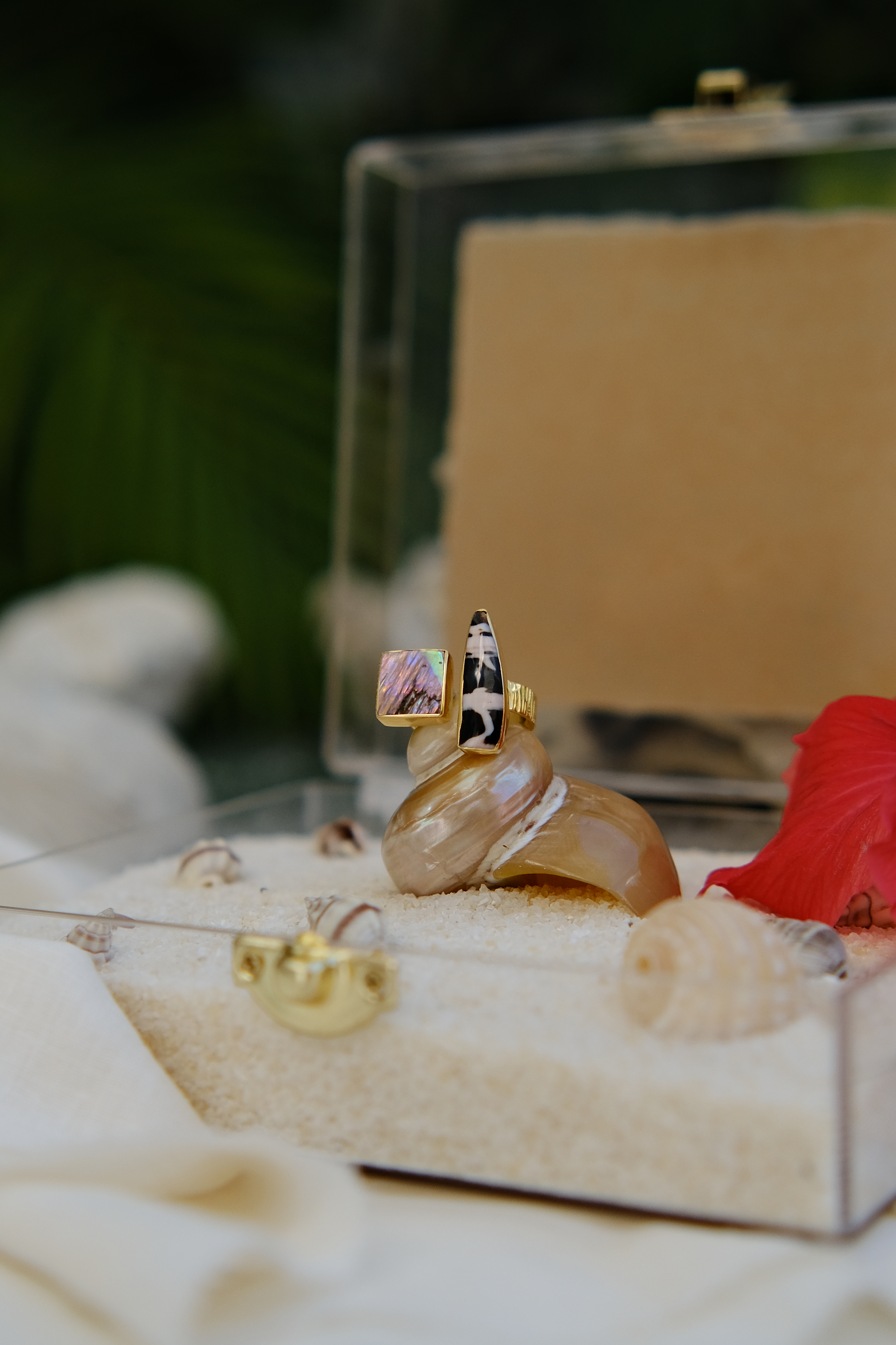 Close-up of gold shell rings featuring natural abalone and cowrie designs, displayed on a seashell. Perfect for ocean-inspired jewelry and bohemian coastal style